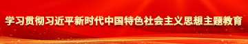 透逼爽死视频在线看免费版学习贯彻习近平新时代中国特色社会主义思想主题教育